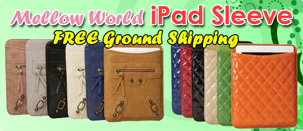 ipad case